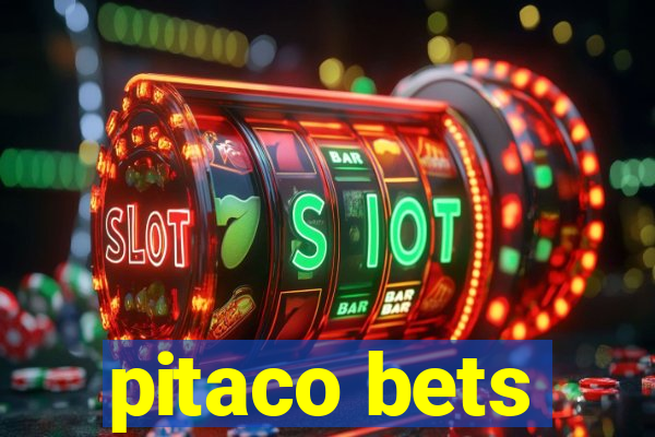 pitaco bets